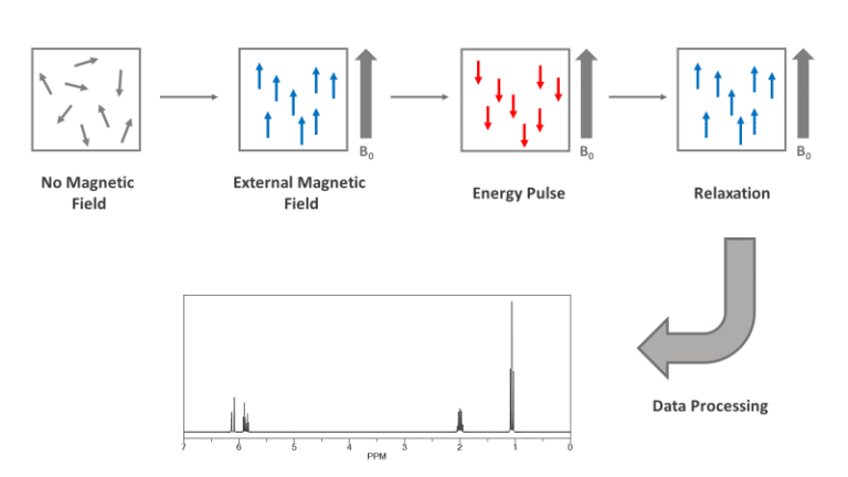 Nuclear Magnetic Resonance NMR Spectroscopy Emery Pharma