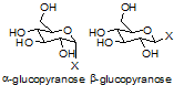 Anomers Glucopyranose