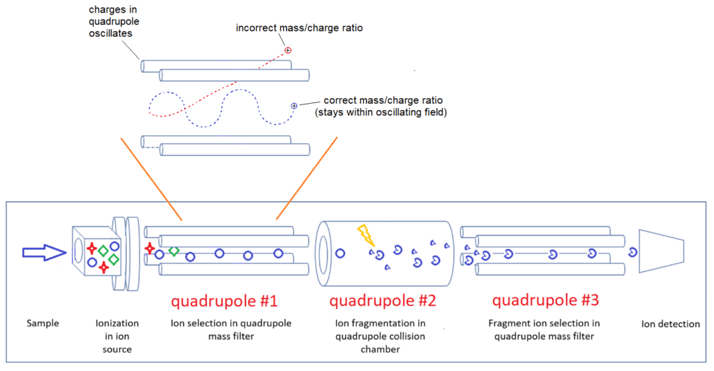 Liquid Chromatography Mass Spectrometry LC MS Analysis Emery Pharma