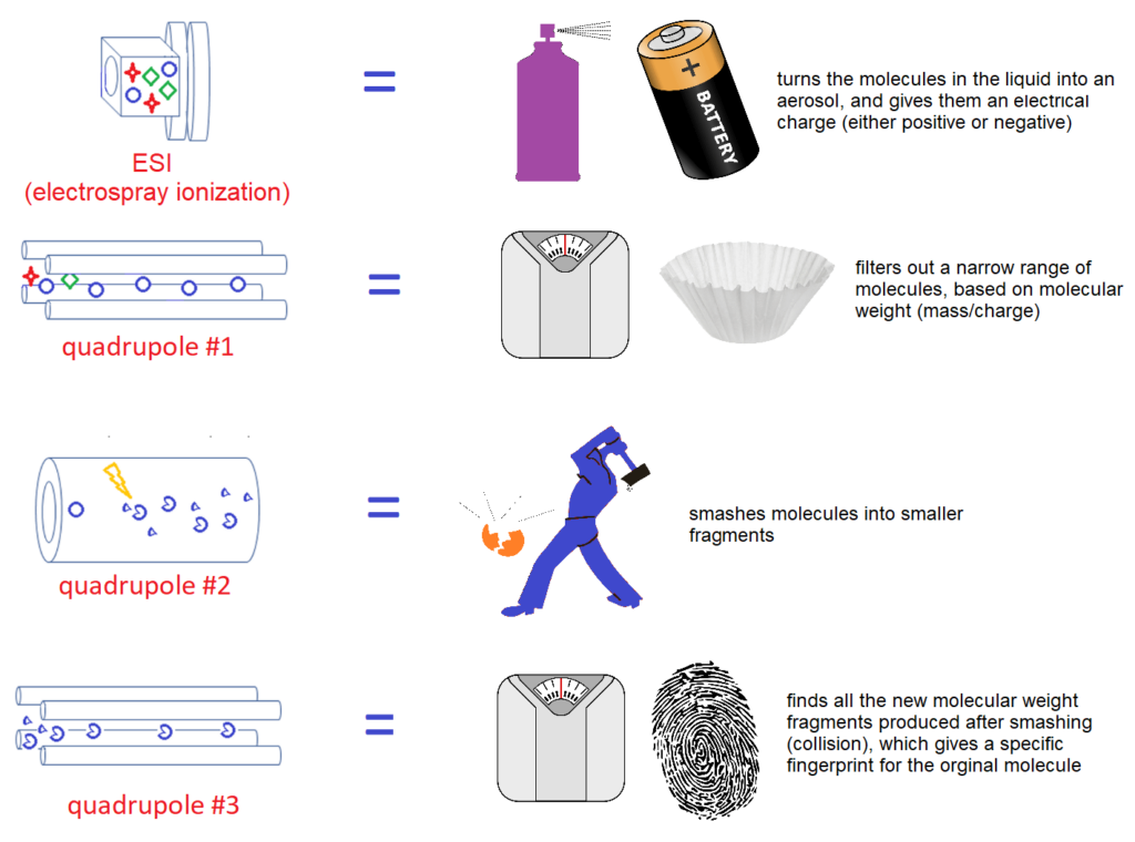 Lc Mschart Liquid Chromatography Mass Spectrometry (LC-MS) Analysis - Emery Pharma